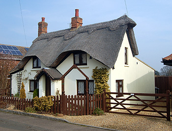12 Ivy Lane March 2012
